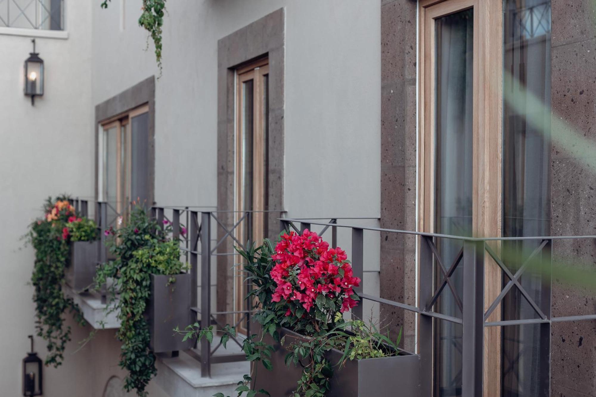 Le Cottage San Miguel De Allende, Modern Luxury In Centro With Pool & Jacuzzi エクステリア 写真